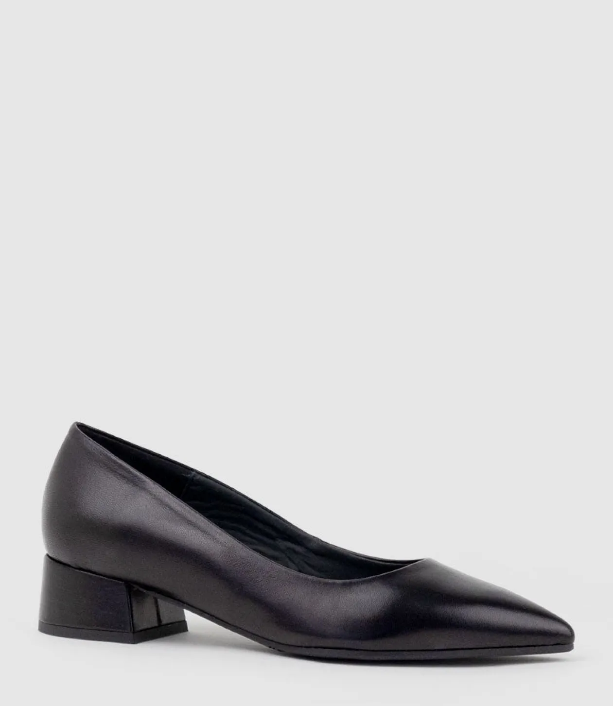 Andrea40 Pointed Block Heel Pump In Black