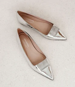 Emrata Pointed Ballet With Trim In Silver