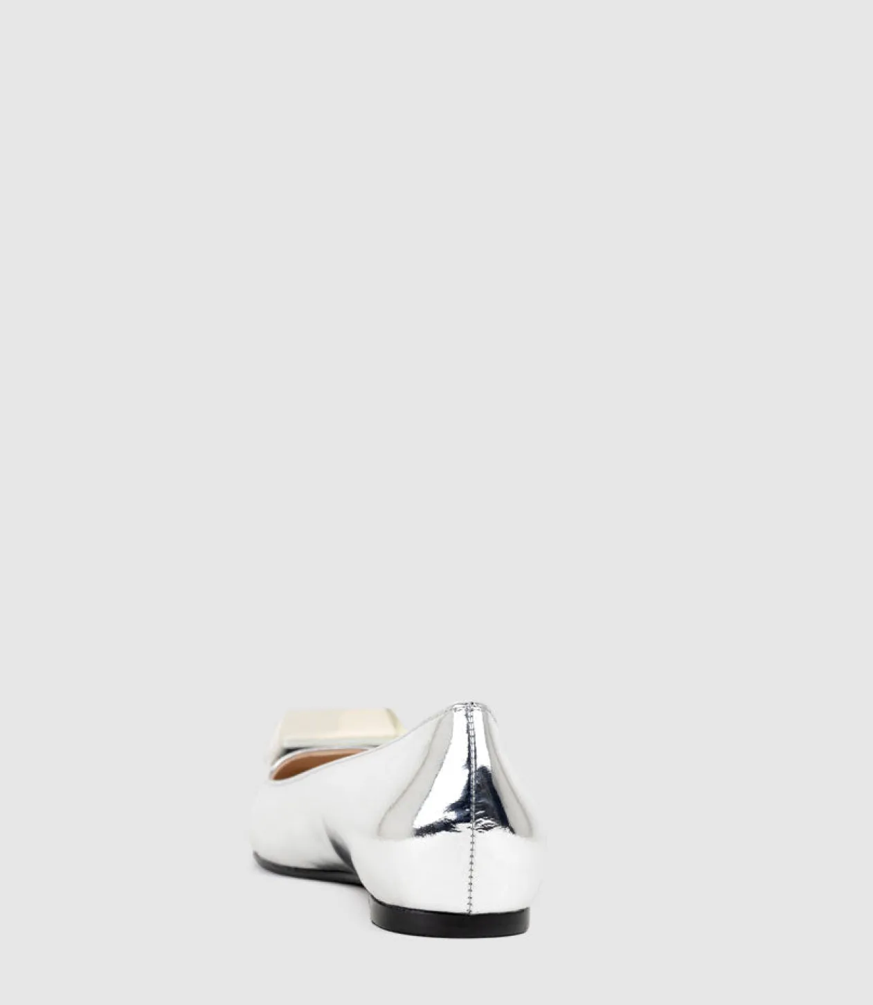 Emrata Pointed Ballet With Trim In Silver