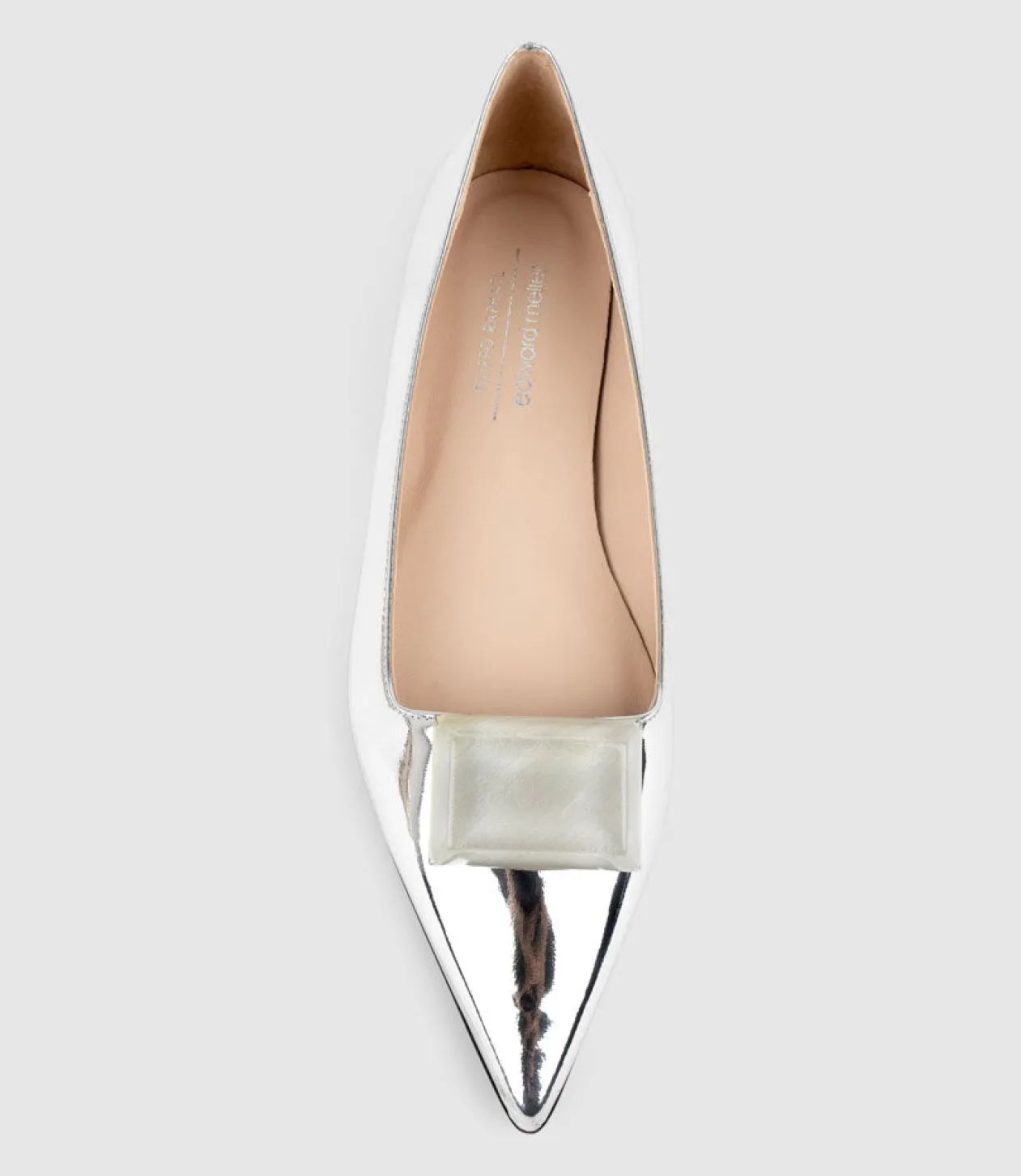 Emrata Pointed Ballet With Trim In Silver